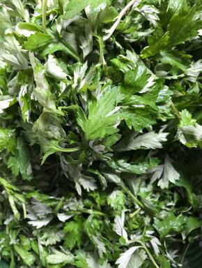 将茵陈叶子摘下来，洗净沥水