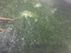 再加少许水和适量盐，碱煮沸腾