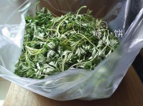 [准备艾草汁]：新鲜艾草一堆~