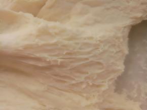 把中种材料混合揉至无干粉，装入保鲜盒放冰箱冷藏17-20小时左右(如果着急用可以放在室温2、3个小时左右)，主要还是看面团的状态。如图出现蜂窝状就可以了。 