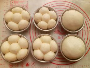 二发温度不要超过38度。(这次我放烤箱里没放热水，现在天气暖和了。温度够用了)大概50分钟左右，用手指轻轻按一下面团，慢慢回弹就可以了。