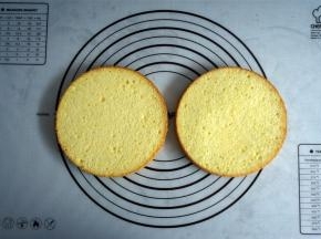 取两片酸奶戚风蛋糕片。