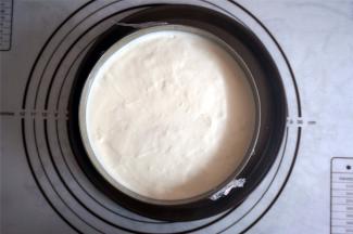 将剩余的慕斯液倒入，表面抹平整。封上一层保鲜膜后，将其放入冰箱冷藏3~4小时，凝固。