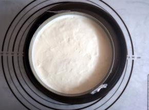 将剩余的慕斯液倒入，表面抹平整。封上一层保鲜膜后，将其放入冰箱冷藏3~4小时，凝固。