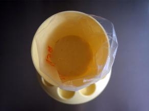 将面糊装入裱花袋。可以立即烘焙，也可以放冰箱冷藏着，吃的时候再取出烘焙。