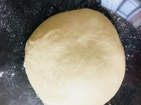 加入中种材料中的高粉，混合成团，容器盖保鲜膜，室温发酵一个小时。2倍大。