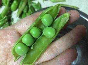 豌豆荚去壳留青豆