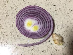 适量洋葱和老姜