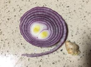 适量洋葱和老姜