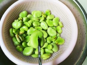 用剪刀剪开蚕豆，根部不要剪断