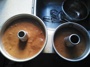 将蛋糕糊倒入模具，用力震几下