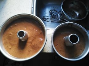 将蛋糕糊倒入模具，用力震几下