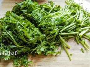 新鲜的茼蒿用淡盐水浸泡一会，冲洗干净，控干水分，切一刀成大段。