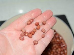 倒出多余的汤汁，保持汤汁没过红豆的状态，观察红豆表皮褶皱的状态，按照步骤2重复2～3次
