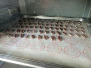 将瓜子依次放到烤盘上，放入预热好的烤箱，上下火150度中下层烤15分钟