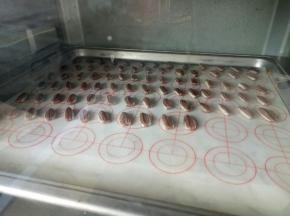 将瓜子依次放到烤盘上，放入预热好的烤箱，上下火150度中下层烤15分钟