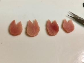 用小剪刀剪出4个猪蹄。