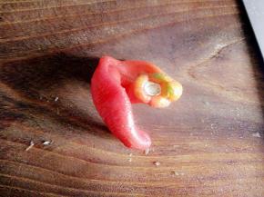 螺丝椒一个，从中间划开