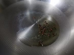 锅里放少许油小火，将花椒煸出香味。