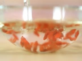 枸杞用水洗干净，捞起备用。