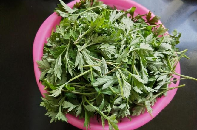 新鲜艾叶的保存方法