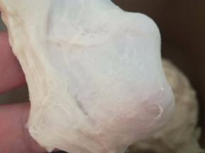 20分钟一个和面程序结束，检查面团状态。