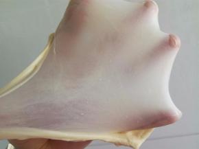 大概10分钟后，拿出一小块面团，检查状态，可以拉出图片中的膜。可以再继续搅拌2-3分钟。