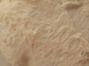 把中种材料混合揉至无干粉，装入保鲜盒放冰箱冷藏17-20小时左右(如果着急用可以放在室温2、3个小时左右)，主要还是看面团的状态。如图出现蜂窝状就可以了。 