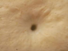 大概50分钟左右，用手指粘面粉在面团中间戳个洞，不回缩，不塌陷就是发好了