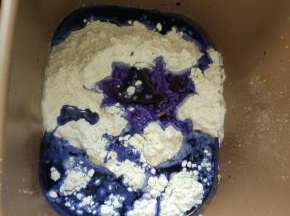 2.把除了盐和黄油以外的所有材料，全部放在面包机中，选择和面程序15分钟，蝶豆花水一定要凉透才能加进去，温度太高会杀死酵母