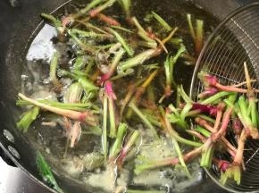 锅烧开水，加入少许盐，放入菠菜根汆烫至熟