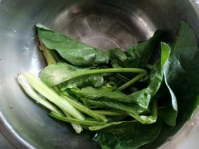 菠菜洗净