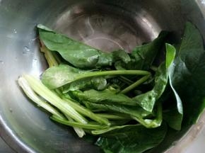 菠菜洗净