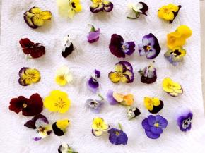 用厨房纸滤干水分