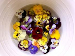 三色堇用盐水泡洗干净