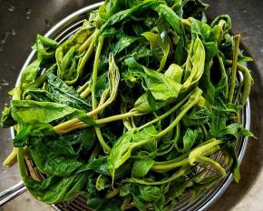 洗净，烧开水放盐，放香椿焯烫至完全变色。