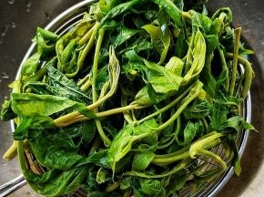 洗净，烧开水放盐，放香椿焯烫至完全变色。