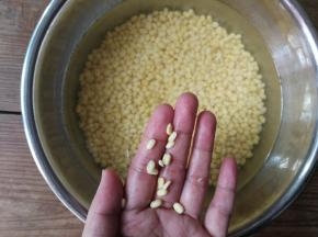 浸泡至用手轻捻绿豆就能一分为二即可