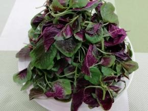 摘好的红苋菜放入水中浸泡一会儿， 然后用水冲洗干净