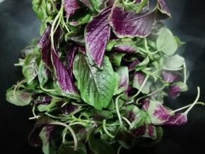 然后放入洗好的红泥苋菜翻炒几下