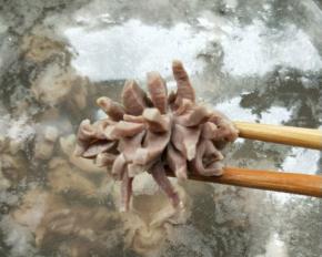 冷水下锅，煮沸至鸡胗花开完全变色。