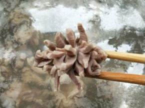 冷水下锅，煮沸至鸡胗花开完全变色。