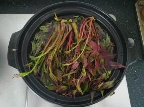 香椿下锅焯水。