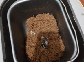 放入面包机按钮果酱一个程序
