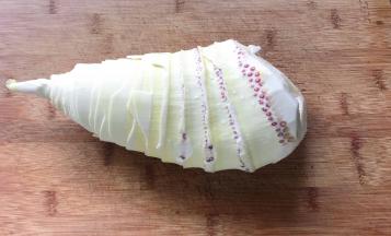 毛笋剥去笋衣，把根部切干净，流水洗净