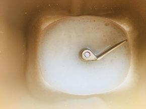 先将温水与猪油倒入面包机搅拌桶中。充分搅拌至猪油完全融化。