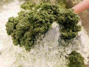 加入所有的粉类（泡打粉可以不加）