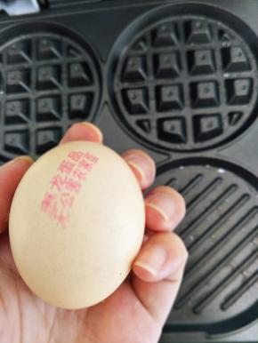 平底模具打入一个鸡蛋