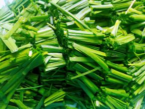 韭菜和红辣椒洗干净切段