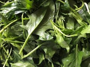 取菠菜叶，洗净沥水